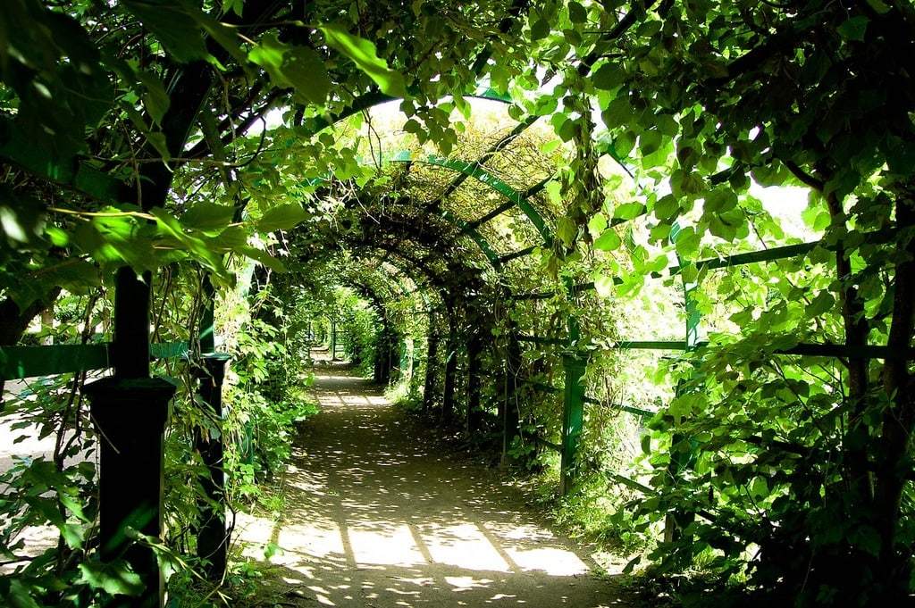 Achat pergola bioclimatique : les erreurs à éviter