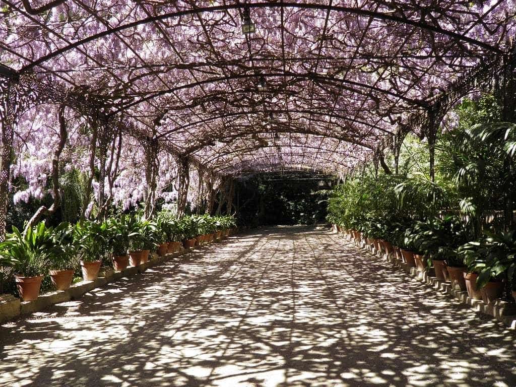 Quelle est la bonne orientation des lames pour une pergola bioclimatique ?