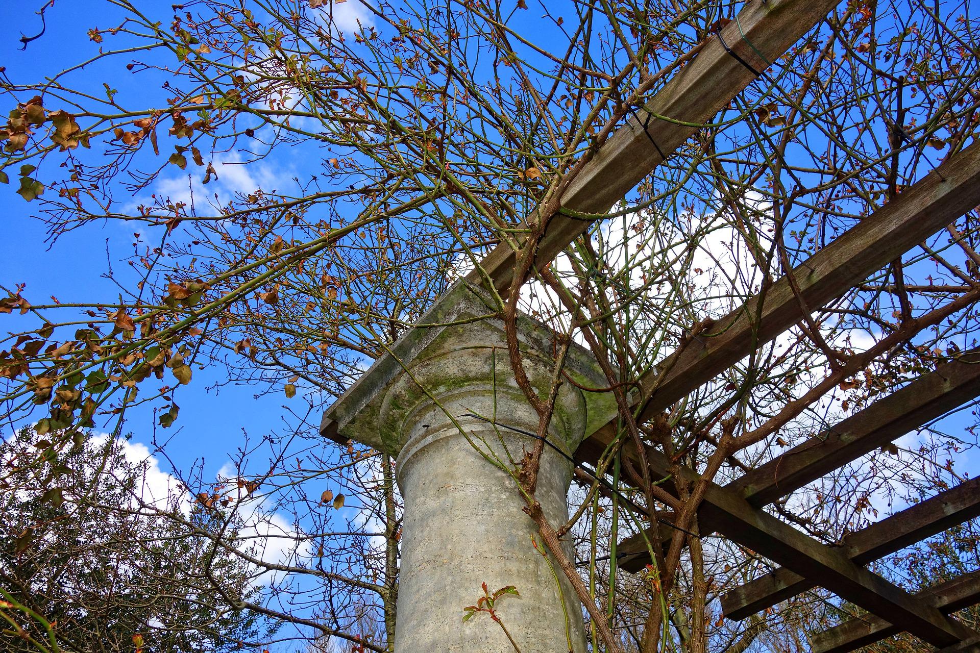 Tout savoir sur les pergolas!